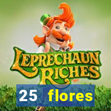 25 flores silvestres com nomes 25 flores silvestres desbravadores